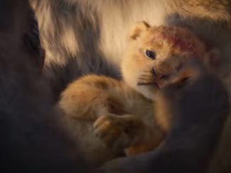 Disney Unveils Stunning New Live-Action Trailer For The Lion King