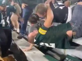 Eagles & Packers Fans Get Into A Brawl At Lambeau Field