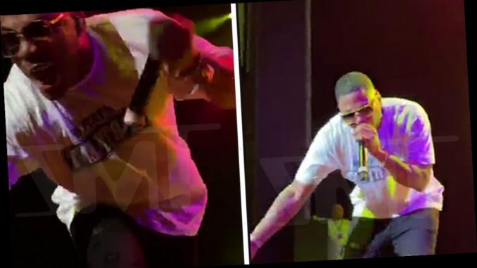 Nelly Gets Pulled Off Stage By A Crazed Fan During Concert