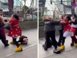 Video Shows Minnie Mouse Performer Gets in Vicious Street Fight with Vegas Security