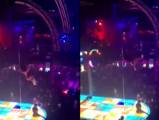 Exotic Dancer Falls From The Ceiling During Routine