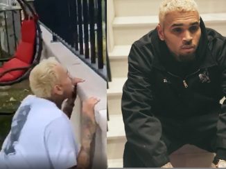 Chris Brown Shares Video Of Obsessed Fan Trying To Jump His Fence