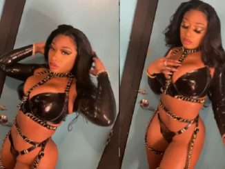 Megan Thee Stallion and Tyga Tease New 'FREAK' Song