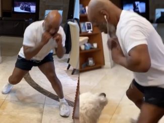 Video Shows Mike Tyson Showing Off Boxing Skills And Speed At 53