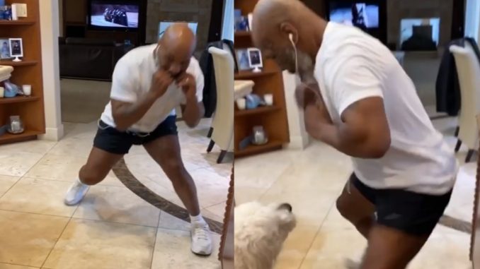 Video Shows Mike Tyson Showing Off Boxing Skills And Speed At 53