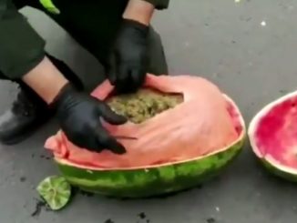 Men Get Caught Trying To Smuggle Pounds Of Weed In Watermelons