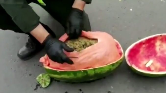 Men Get Caught Trying To Smuggle Pounds Of Weed In Watermelons