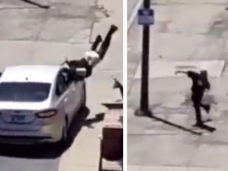 Man Gets Flipped After Throwing Rocks At Passing Car
