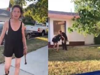 Woman Beats Neighbor's Car With Hammers...And Then She Gets Tossed In The Bushes