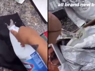 Woman Dumps Her Man's Clothes On The Street And Pours Bleach On Everything
