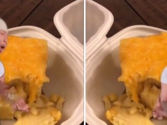 Guy Goes Off About Jamaican Restaurants That Be Slack With The Mac-n-Cheese