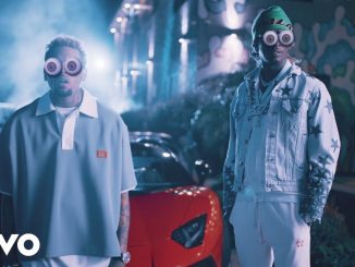 Young Thug and Chris Brown Share "Go Crazy" Video