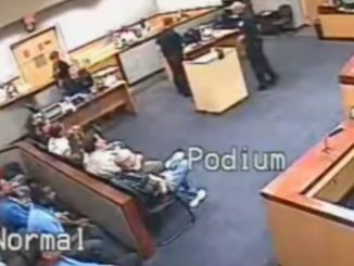 Florida Judge Fist Fights With Public Defender In Court