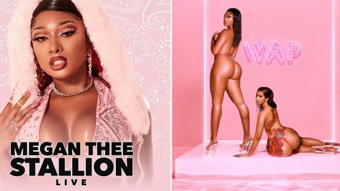 Megan Thee Stallion Announces Live Virtual Performance Since Being Shot