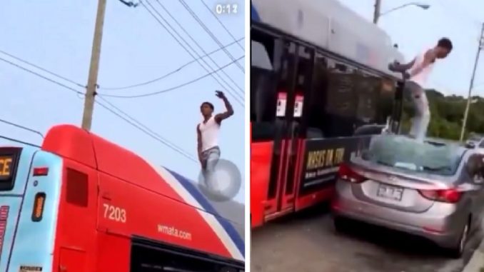 Transit Bus Flashes "Call Police" As Man Dances On Top Of It