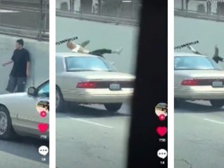 Viral Video Shows Crazy Woman Jump In Front Of Car During Argument