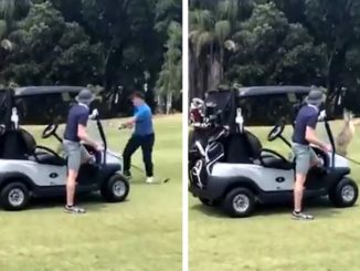 Aggressive Kangaroo Catches A Golfer Slippin'