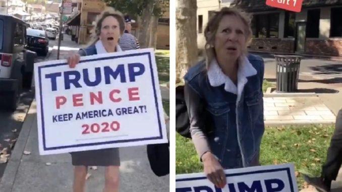 Lady Holding Trump Sign Is On A Extremely Weird Racist Rampage