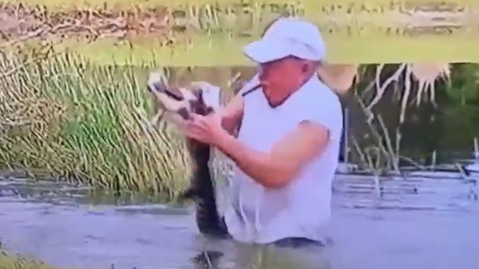 Viral Video Shows Man Save Puppy From Being Eaten By Alligator...Never Dropped His Cigar