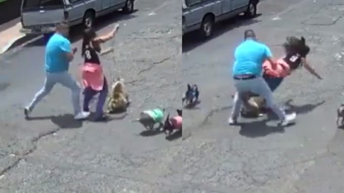 Apple Shaped Guy Violently Attacks a Woman Instead of Putting a Leash on His Dogs