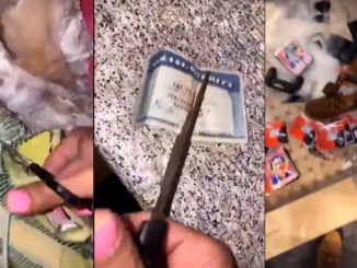 Pissed Off Woman Cuts Up Her Man's Sneakers, Timbs, and Even His Social Security Card