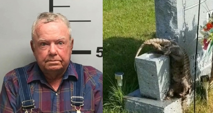 79-Year-Old Man Pleads Guilty To Putting Dead Animals on Neighbor's Grave