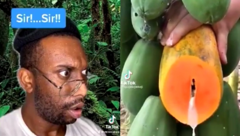 Guy Loses His Mind After Seeing Inner Workings Of This Fruit