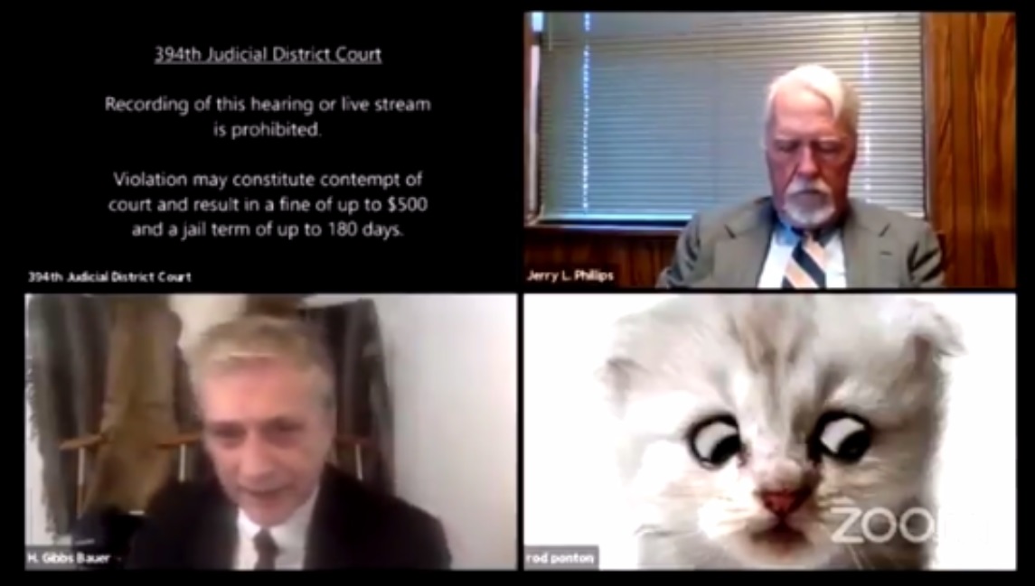 Lawyer Can't Turn Off Cat Filter on Zoom & Tells Judge, 'I'm Not a Cat'