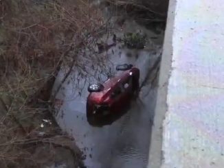 Woman Miraculously Walks Away From Crash After SUV Plunges 50 Feet off Bridge