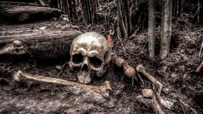 Human Skelton Found Sitting On Couch Inside Abandoned Home In Detroit