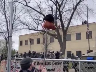 Minnesota Protester Taunts Cops With A Severed Pig's Head On A Pike