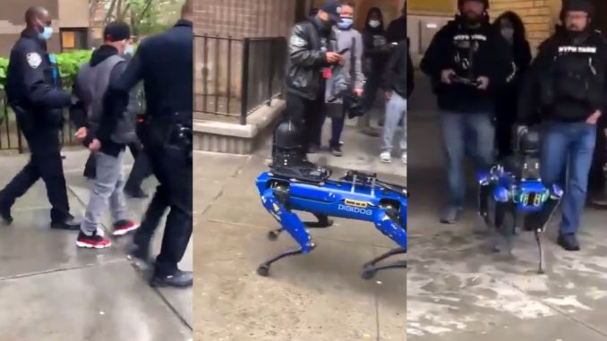 Viral Video Shows Robot Police Dog In NYC