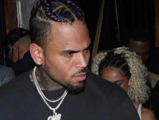 Chris Brown's 'Maid' Sues Him Over Reported Dog Attack