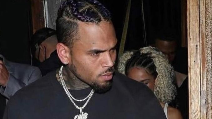 Chris Brown's 'Maid' Sues Him Over Reported Dog Attack