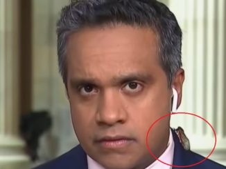 CNN Reporter Freaks The Hell Out When Cicada Crawls On His Neck Before Live Shot [Video]