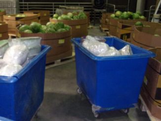 Feds Seize $2.5 Million Worth Of Meth Hidden In Watermelon Shipment