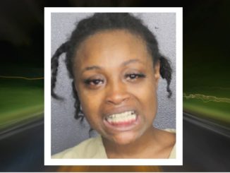 Florida Woman Crashes After Fleeing Hit-and-Run That Killed a Pedestrian