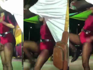 Ugandan Singer 'IamVinka' Appears to Kick a Man After He Touches Her Crotch