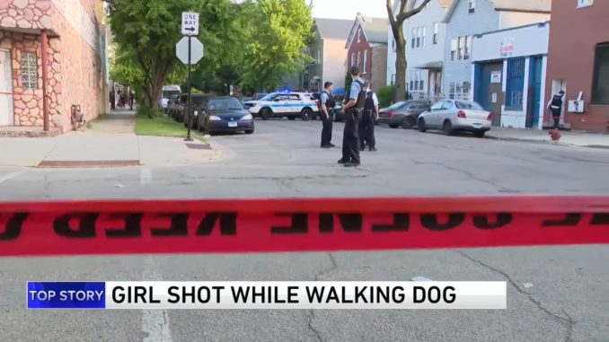 14-Year-Old Girl Shot In The Head While Walking Her Dog in Chicago