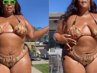 Lizzo Issues a PSA That 'Big Girl Summer' Has Arrived in African Prink Bikini