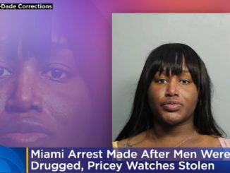 Transgender Woman Accused of Drugging and Robbing Multiple Men in Florida