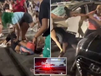 Video Shows Massive Brawl That Ended With 1 Dead, 3 Wounded In Rochester, New York Walmart Parking Lot