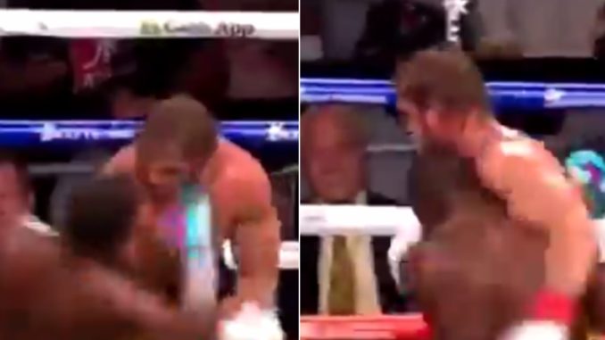 Clip Appears To Show Floyd Mayweather Knocking Logan Paul Out And Holding Him Up