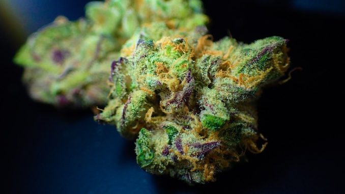16 Tons of Marijuana Worth $1.19 Billion Seized in Drug Bust in California
