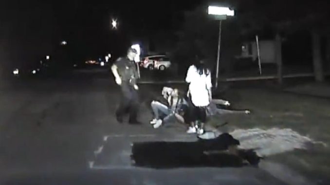 Cop Gets Beaten and Strangled During Traffic Stop