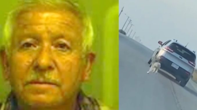 Heartbreaking Viral Video Shows 68-Year-Old Man Abandoning Dog On The Side of the Road