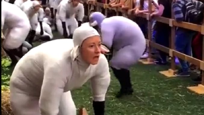 Humans Dressed as Sheep in Canada is The Wildest Thing You'll See All Day