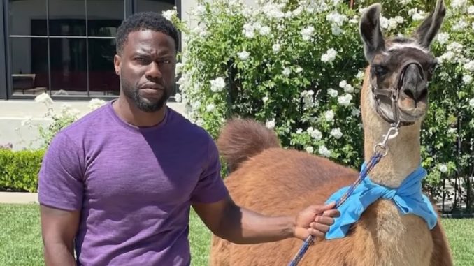 Nick Cannon Sent Kevin Hart A Llama For His 42nd Birthday