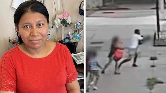 Video Shows Brave Saves Her 5-Year-Old Son After He Is Snatched Up by Kidnapper