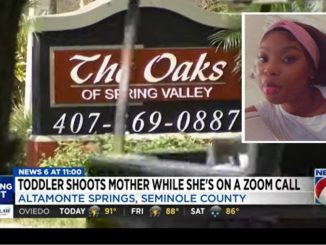 21-Year-Old Mother Fatally Shot in The Head by Her Toddler While on Zoom Call